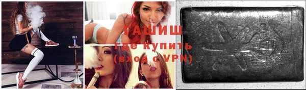 сатива Аркадак
