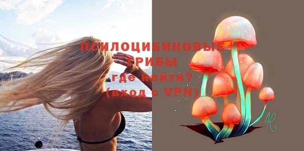 эйфоретик Балахна