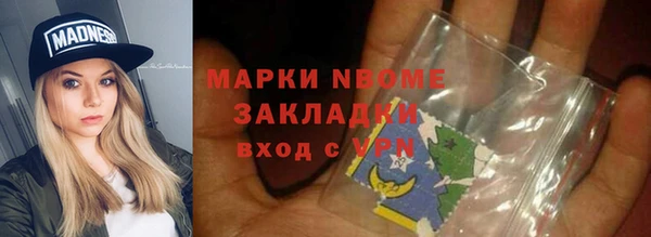 сатива Аркадак