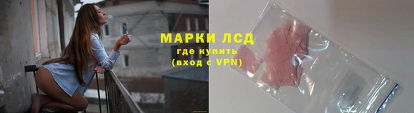 сатива Аркадак