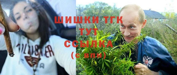 дживик Армянск