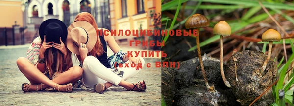 эйфоретик Балахна
