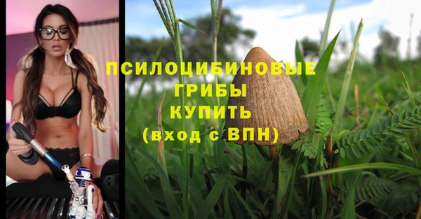 сатива Аркадак