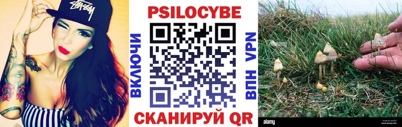 где можно купить наркотик Ликино-Дулёво Псилоцибиновые грибы MAGIC MUSHROOMS